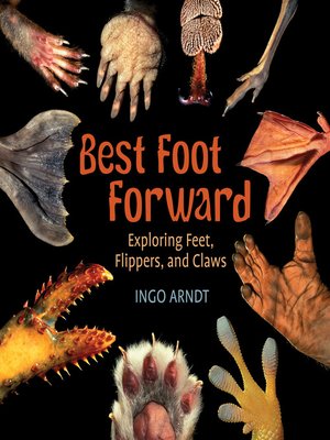 cover image of Best Foot Forward